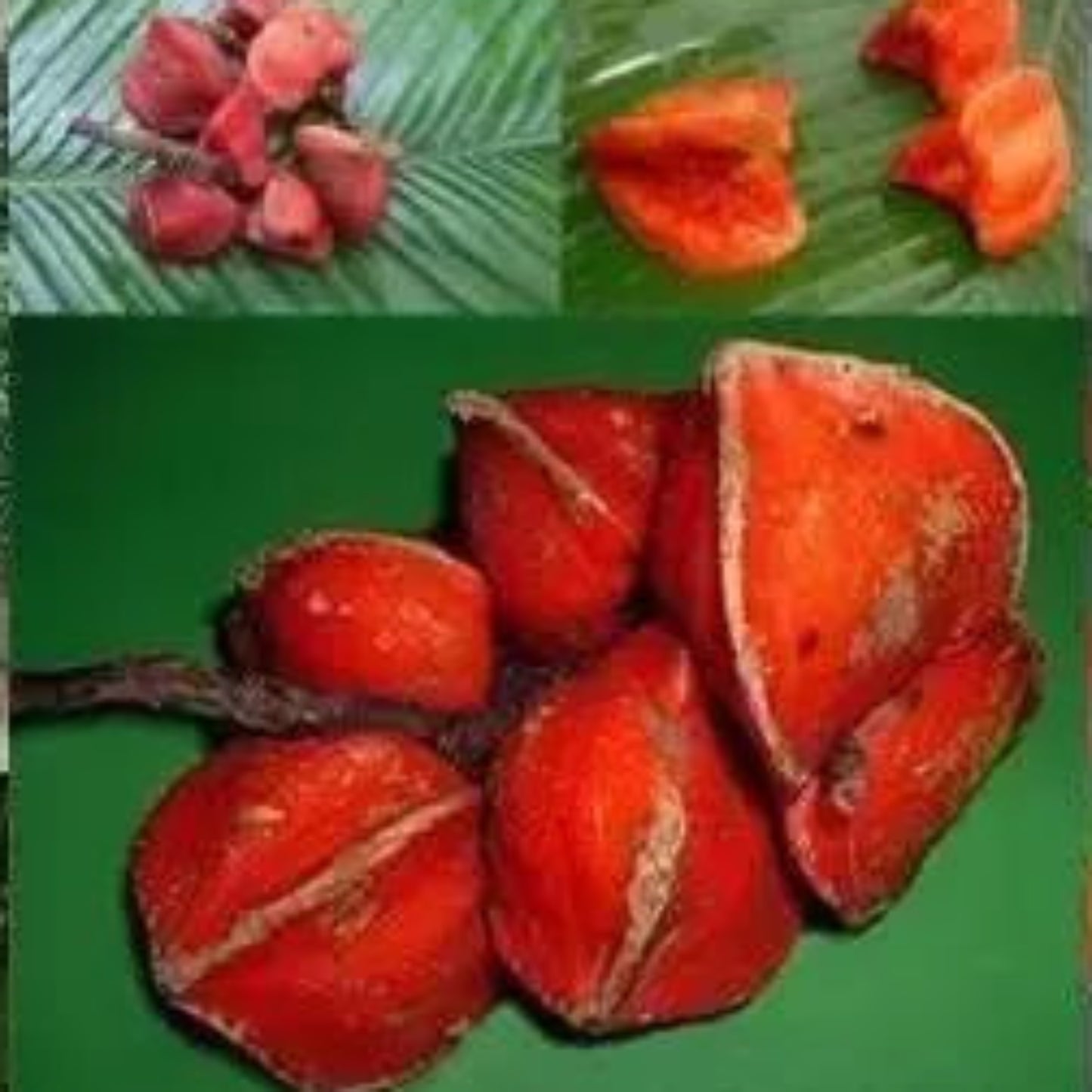 Thaumatin Natural Sweetener