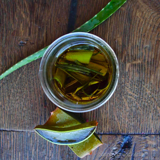 Aloe Vera Oil - Infused