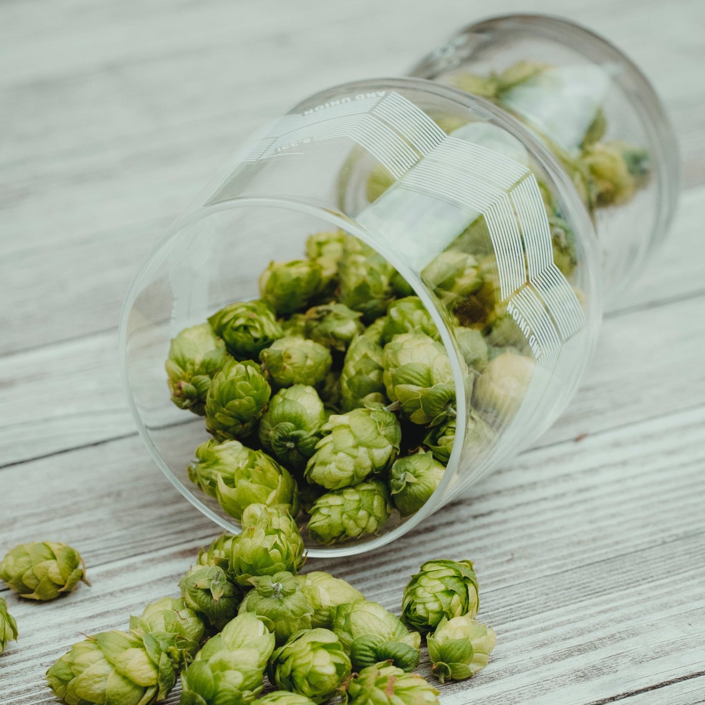 Hops Extract