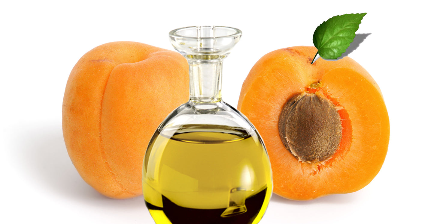 Organic Apricot Kernel Oil