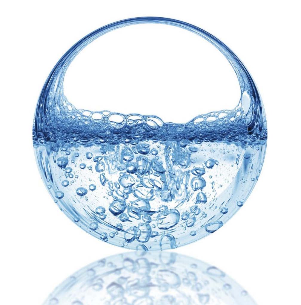 Hyaluronic acid Sodium Hyalonurate