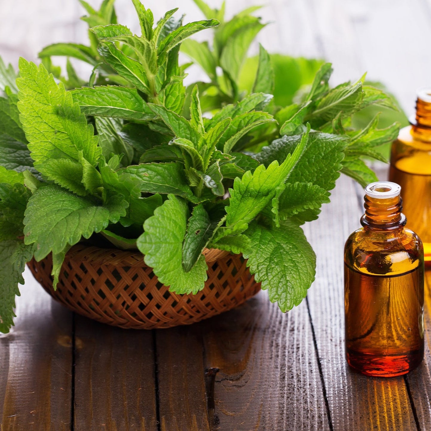 Peppermint Oil
