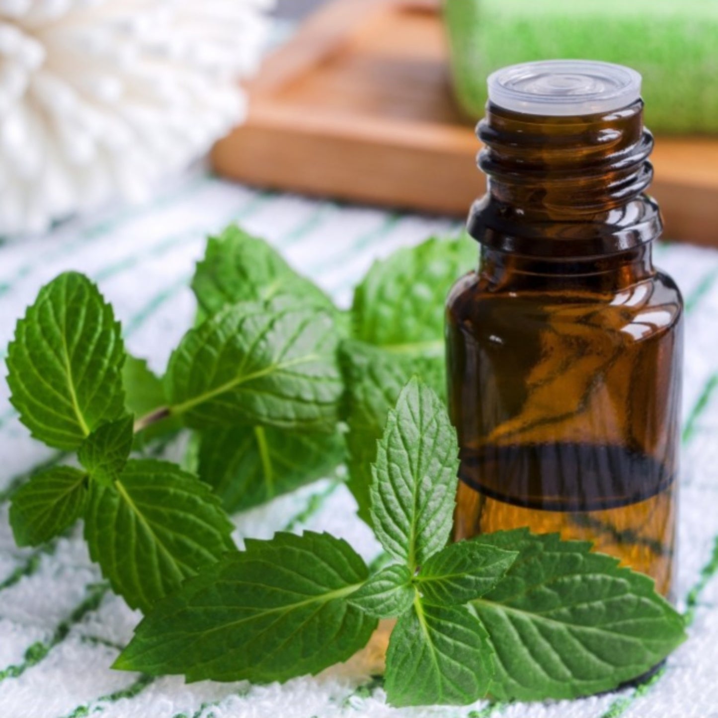 Spearmint Oil