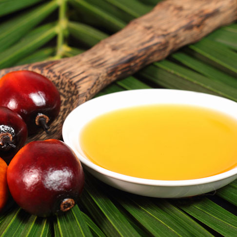 Palm Oil RSPO