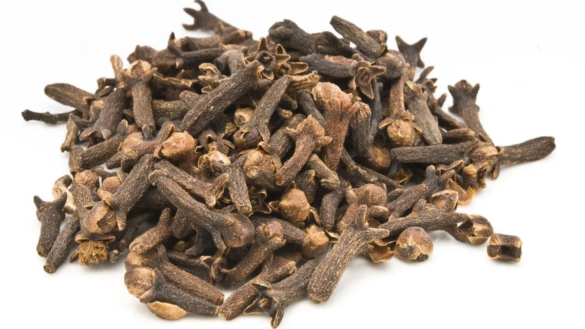 Clove Bud Essential Oil
