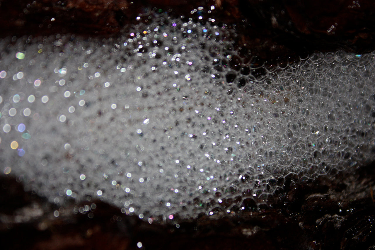 Sodium Lauryl Sulphoacetate (SLSA) Powder