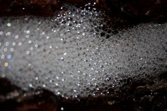 Sodium Lauryl Sulphoacetate (SLSA) Powder