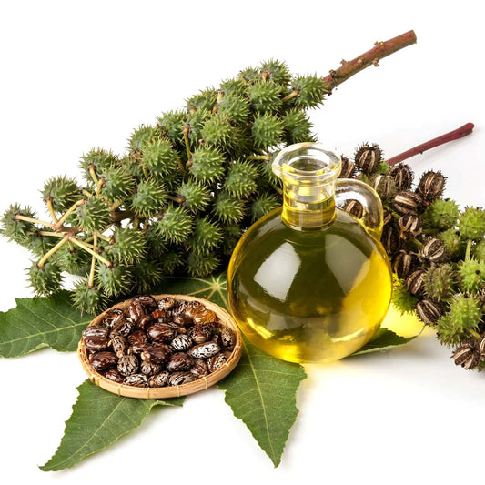 Organic Castor Oil - Healing, soothing and relieving