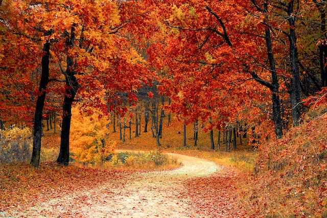 Autumn Skincare Hacks