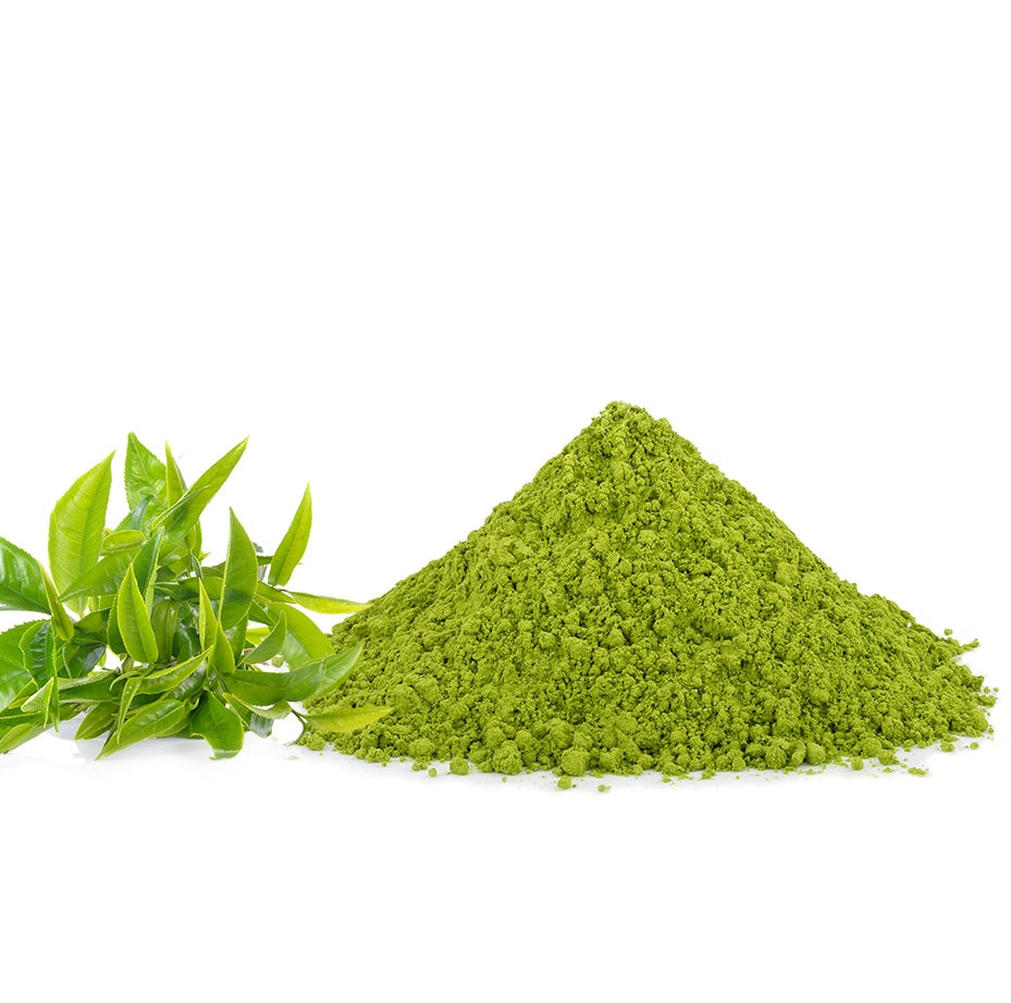 EGCG - Green Tea Polyphenols