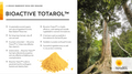 Bioactive Totarol Powder