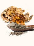 Organic Turkey Tail Mushroom Powder - Certified Food Grade