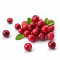 Cranberry Flavour - Food Grade