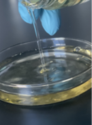 Galactomyces Ferment (glycol and preservative free)