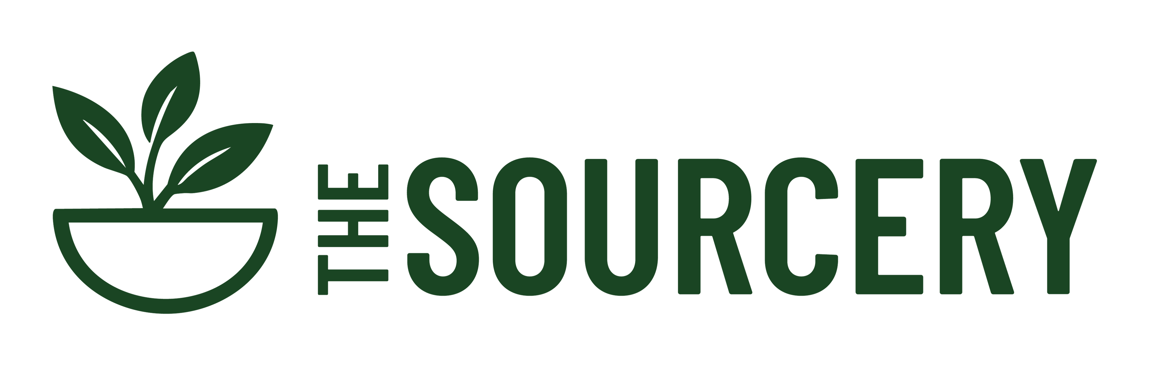 Sodium Lauryl Sulphate  95% Powder