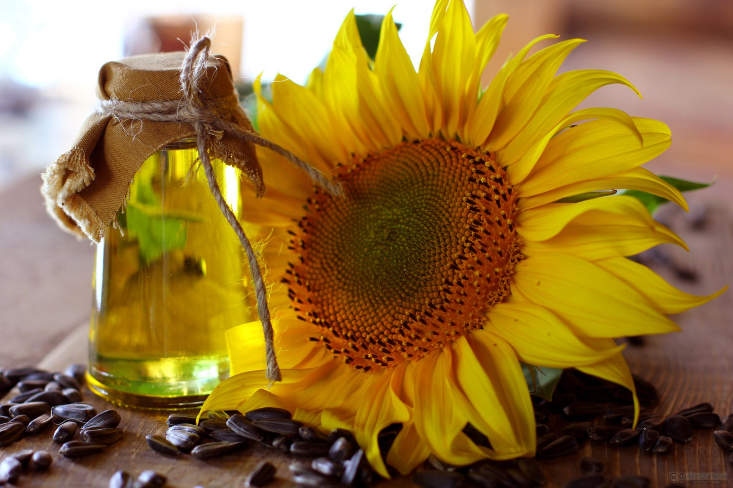 Sunflower Seed Oil