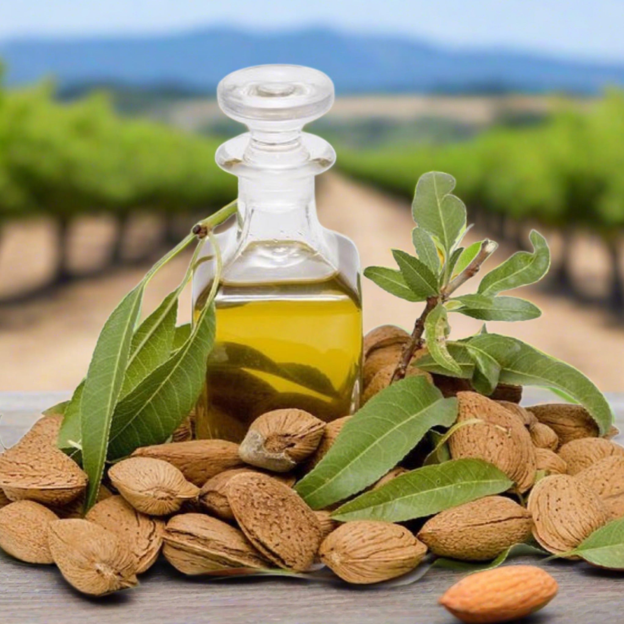 Organic Sweet Almond Oil Organic Sweet Almond Oil