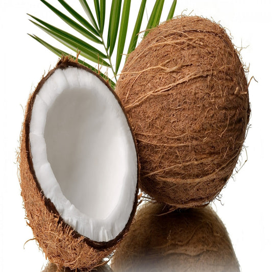 Coconut Oil Refined