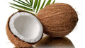 Coconut Oil Organic Extra Virgin